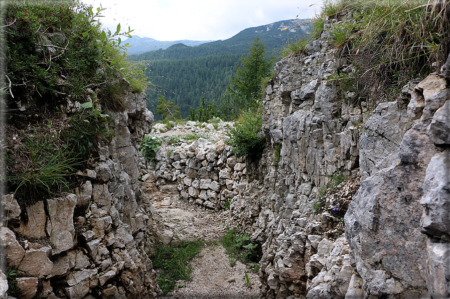 foto Trincee sul Monte Lozze